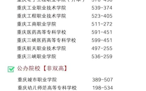重庆工业技术职业学院／重庆工业技术职业学院录取线