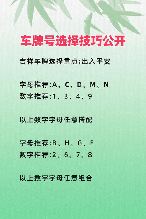 选车牌号技巧与规律(选车牌号技巧与规律是什么)