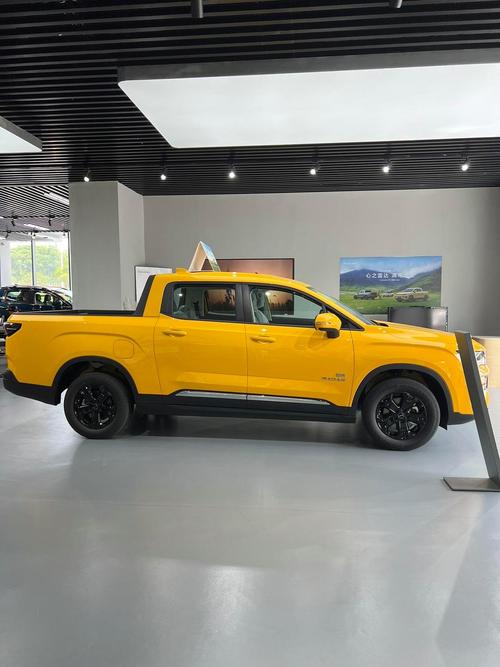 【雷达皮卡,雷达皮卡电车】