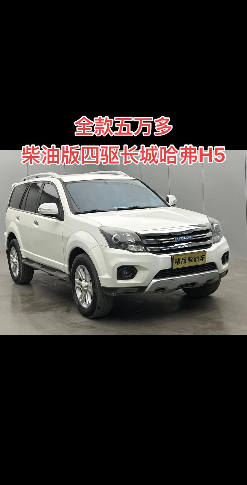 柴油版轿车有哪些,柴油版家用轿车有哪些