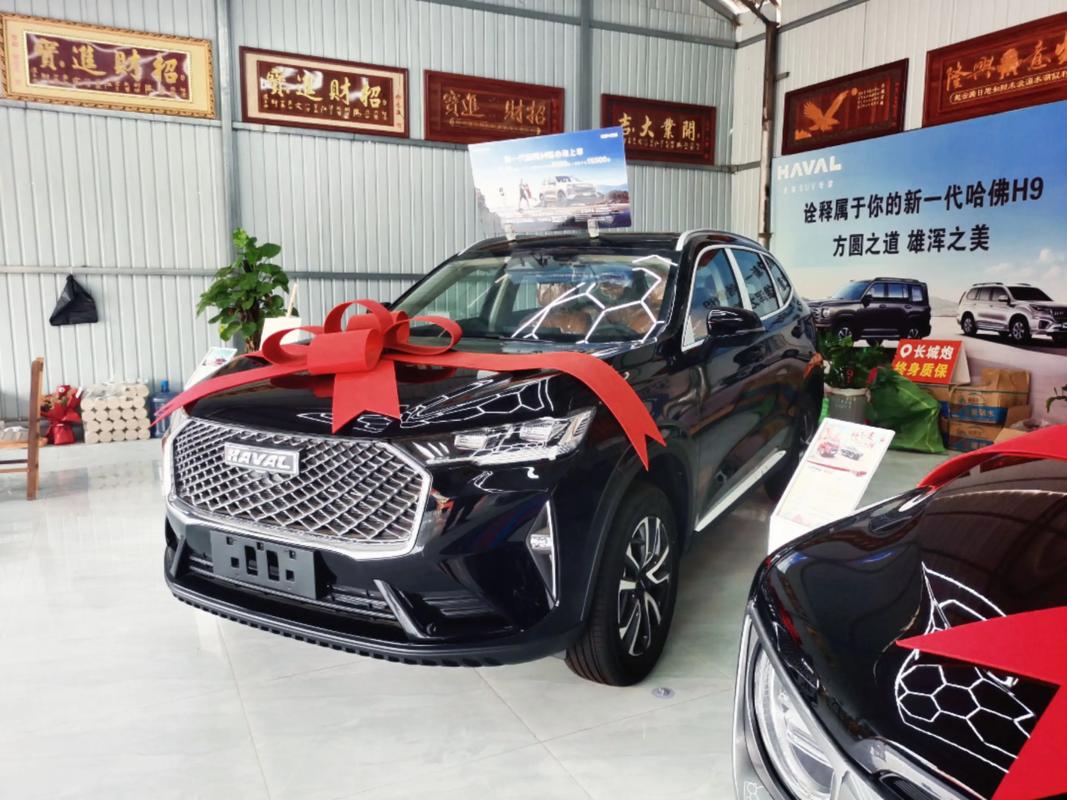 哈弗汽车h6报价及图片,哈弗h6报价及图片2020款新车价格