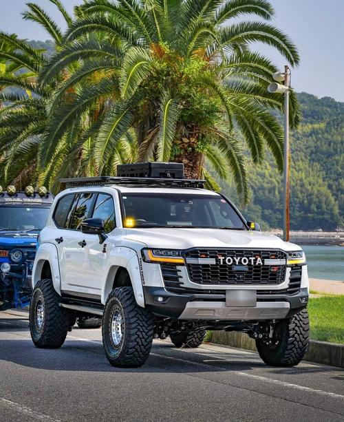 丰田车图片大全所有车型图(丰田车图片高清图片大全)