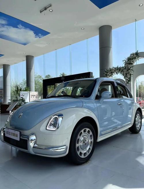 欧拉芭蕾猫2022款多少钱,欧拉芭蕾猫是什么牌子