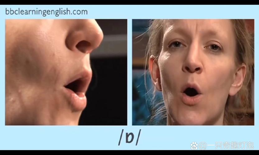 statista Statista正确发音