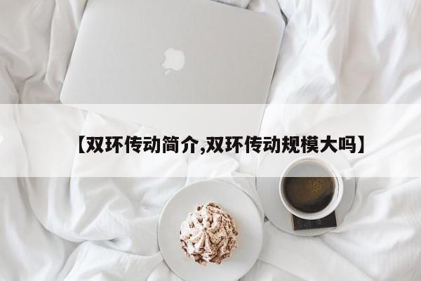 【双环传动简介,双环传动规模大吗】