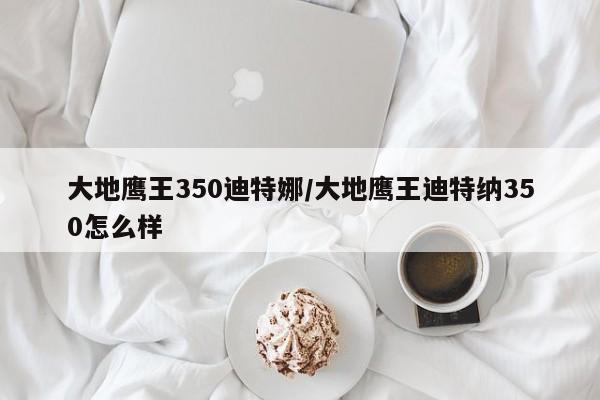 大地鹰王350迪特娜/大地鹰王迪特纳350怎么样