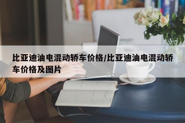 比亚迪油电混动轿车价格/比亚迪油电混动轿车价格及图片