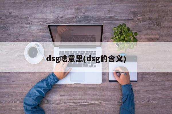 dsg啥意思(dsg的含义)